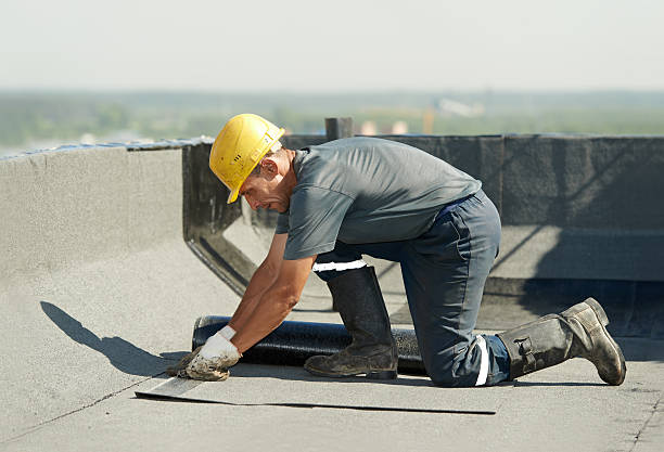 Best Residential Insulation in Elma, WA